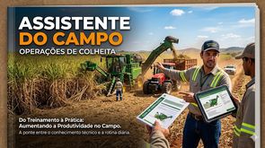 Assistente de Campo - Operações de CCT (Colheita Mecanizada da Cana-de-açúcar)